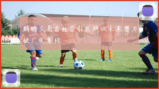 鹈鹕交易首轮签引发热议未来潜力被广泛看好