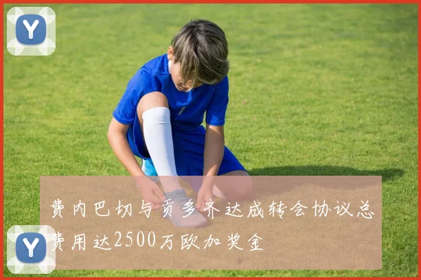 费内巴切与贡多齐达成转会协议总费用达2500万欧加奖金