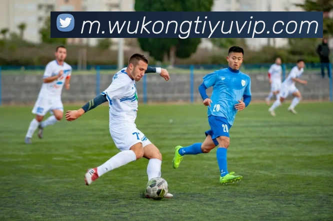 悟空体育APP 高清赛事图